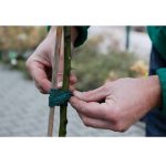 Supporto per la legatura di alberi parkside nastro fascia giardinaggio - immagine 3