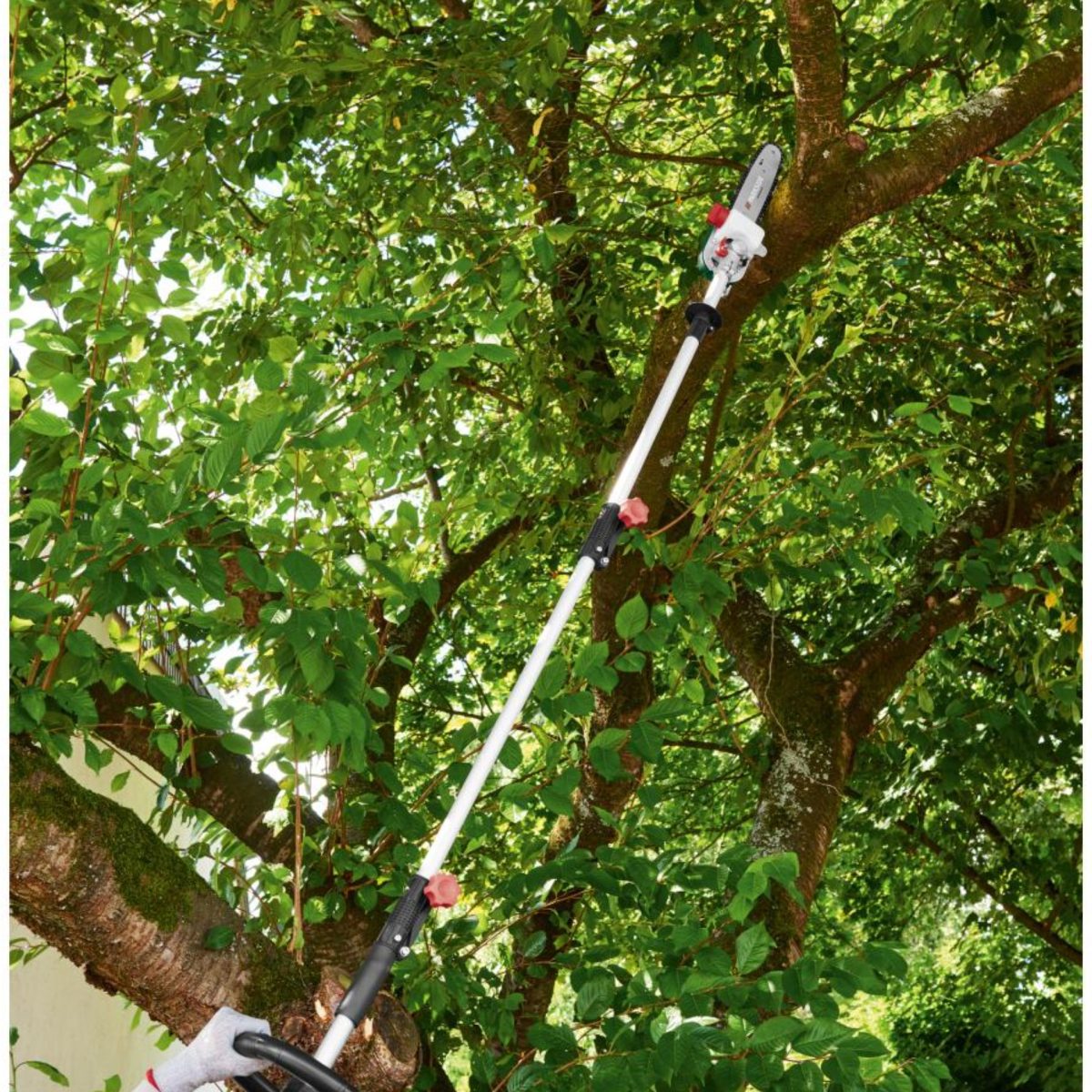 Parkside PEKG 2 potatore ad asta in funzione tra i rami di un albero durante la potatura