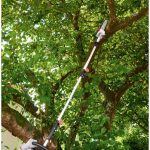 Parkside PEKG 2 potatore ad asta in funzione tra i rami di un albero durante la potatura