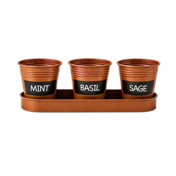 Set Parkside 3 vasi piante aromatiche marroni con vassoio, etichette Mint Basil Sage, confezione danneggiata