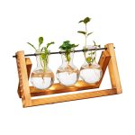 Parkside set coltivazione talee con base in legno, in uso con piantine radicate nelle ampolle di vetro