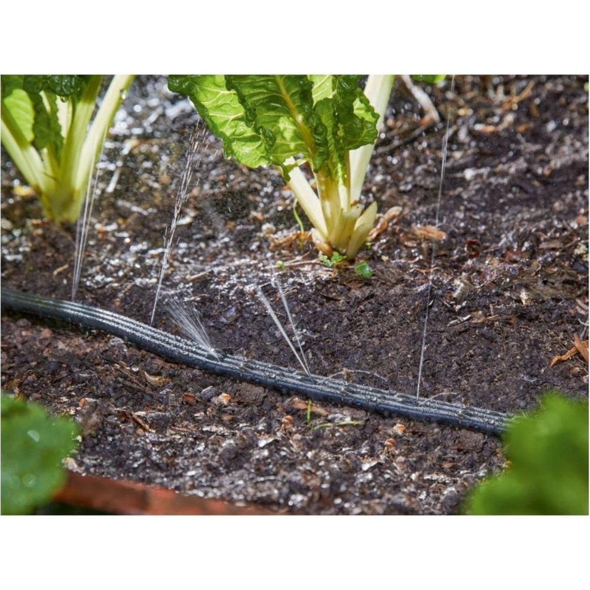 Tubo per irrigazione Parkside 20m Ø13mm in uso su orto, acqua che fuoriesce tra le piante