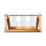 Parkside set coltivazione talee in vetro borosilicato con base in legno, vista frontale con 3 ampolle