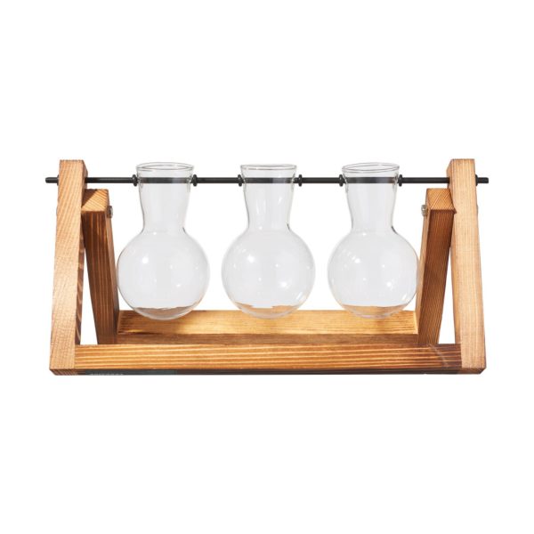 Parkside set coltivazione talee in vetro borosilicato con base in legno, vista frontale con 3 ampolle