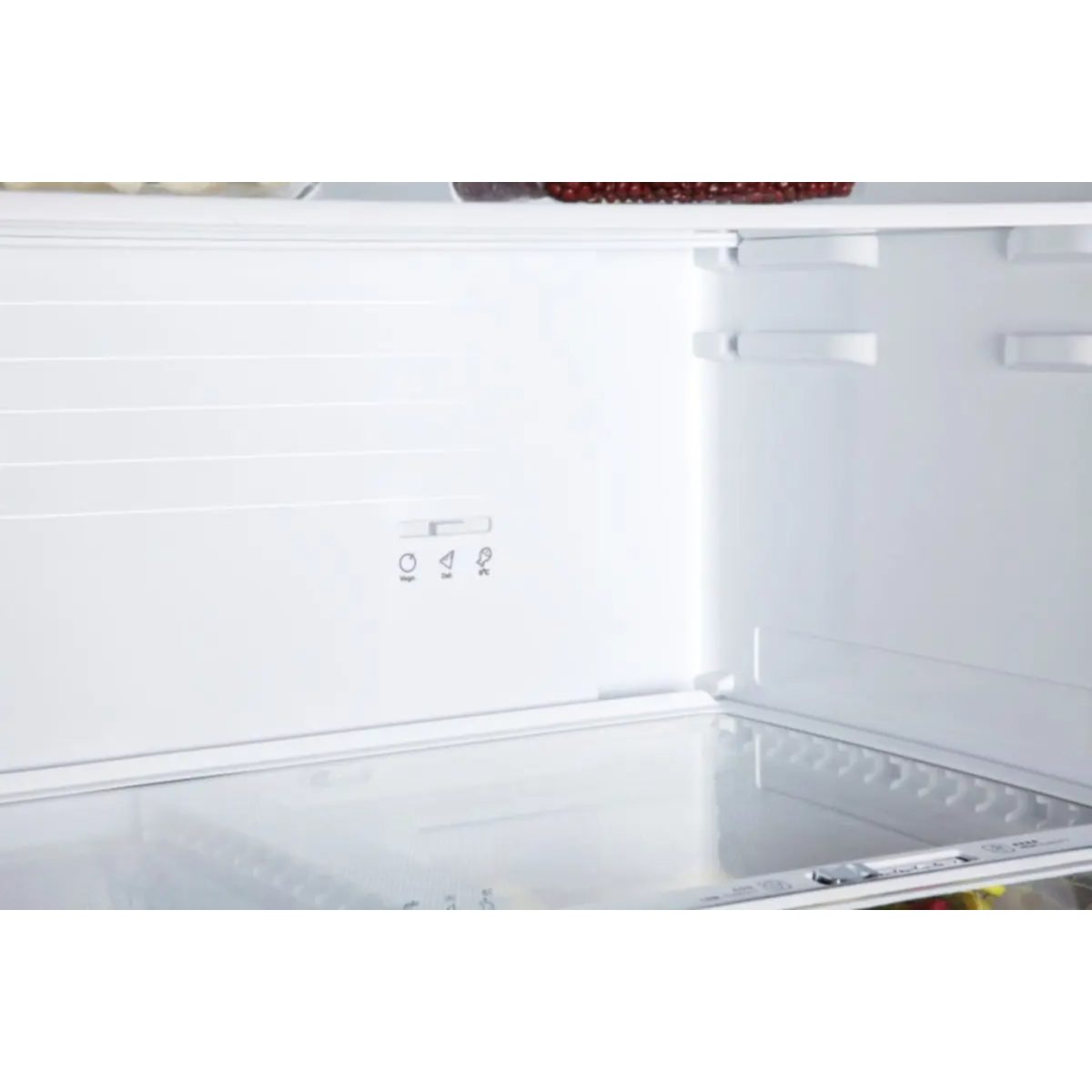 Hisense RQ515N4AC2 dettaglio vano interno con ripiani in vetro e comando regolazione temperatura