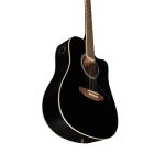 Eko Ranger CW EQ Black, dettaglio laterale con equalizzatore integrato e cassa armonica