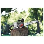 Motosega Parkside PPKSA 40 appoggiata su tronco di legno in ambiente esterno