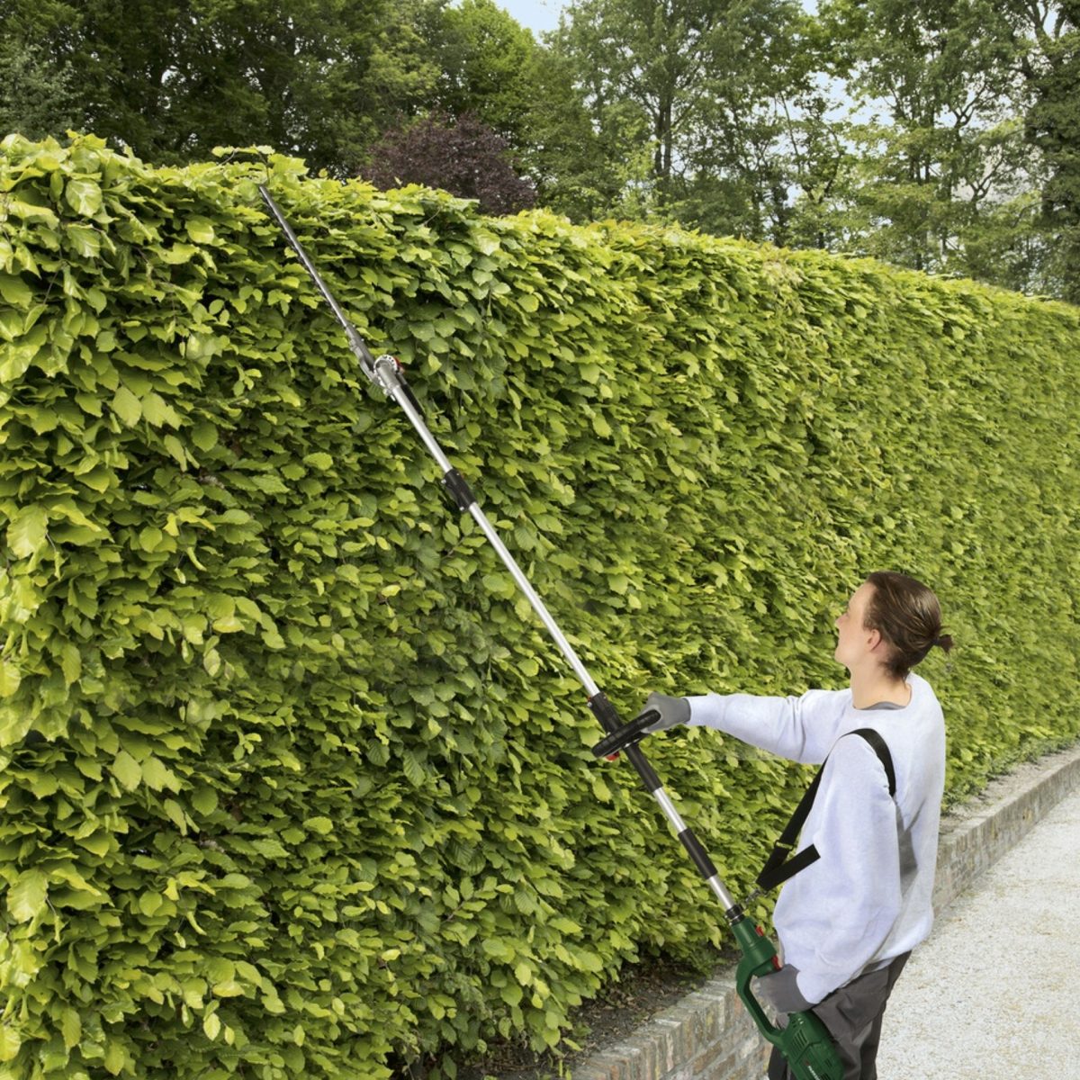 Parkside PHESL 800 in uso per potare siepe alta, braccio telescopico esteso