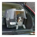 Trasportino Ferplast Atlas 50 posizionato nel bagagliaio auto con cane di taglia media all'interno