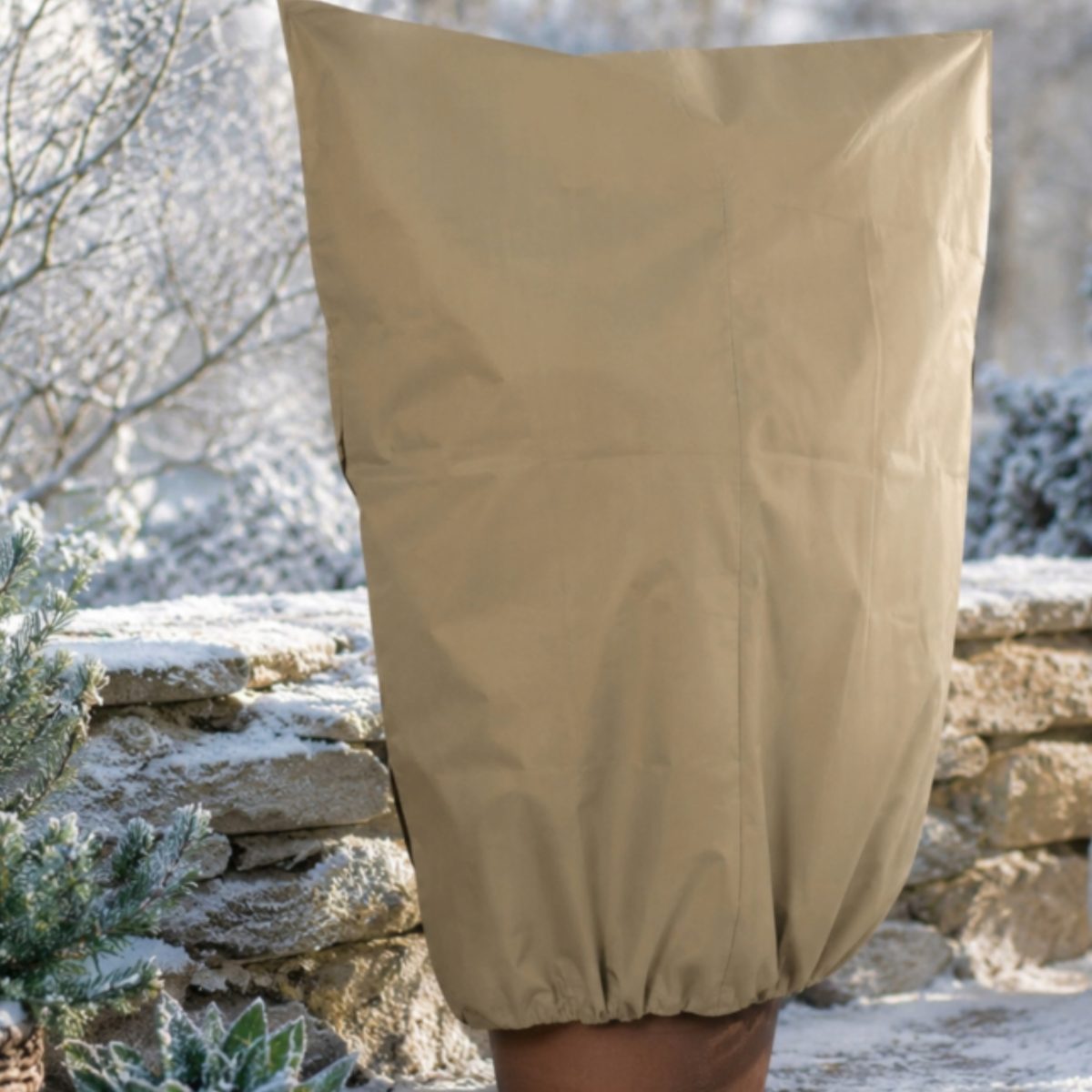 Sacco protettivo piante Parkside XXL beige 240x200cm chiuso con coulisse su arbusto da giardino in inverno