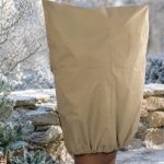 Sacco protettivo piante Parkside XXL beige 240x200cm chiuso con coulisse su arbusto da giardino in inverno