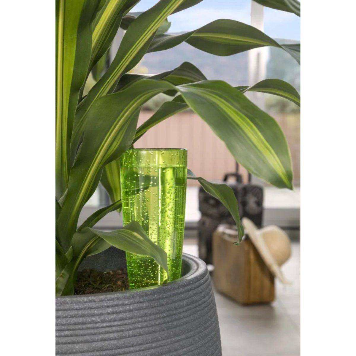 Scheurich Copa Irrigatore Automatico Piante Interno Verde 150ml Altezza 18cm - immagine 2