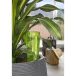 Scheurich Copa Irrigatore Automatico Piante Interno Verde 150ml Altezza 18cm - immagine 2