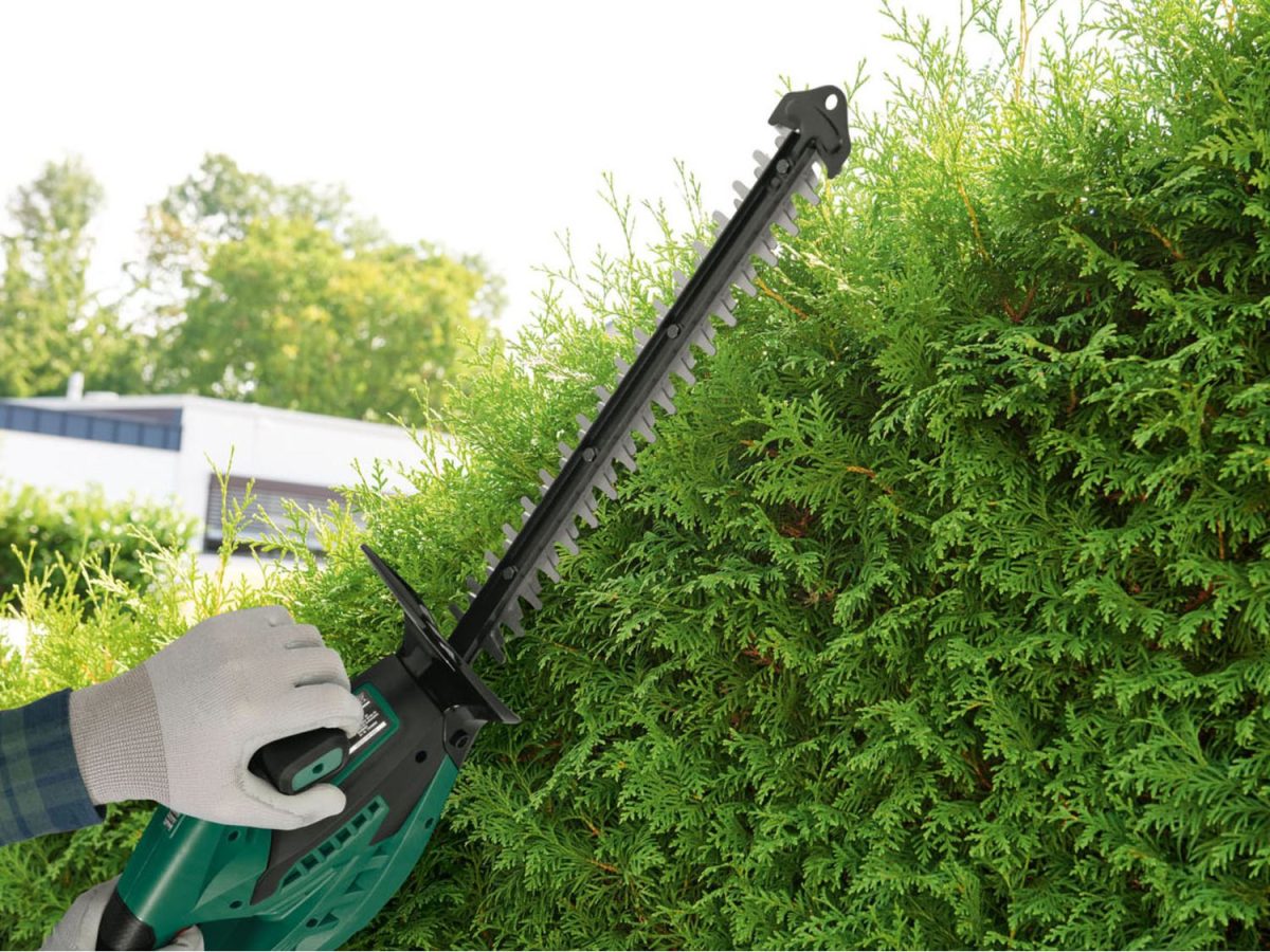 Parkside PHSA 12 B1 Tagliasiepi a Batteria 12V Lama 35 cm X 12V Team Solo Corpo - immagine 7