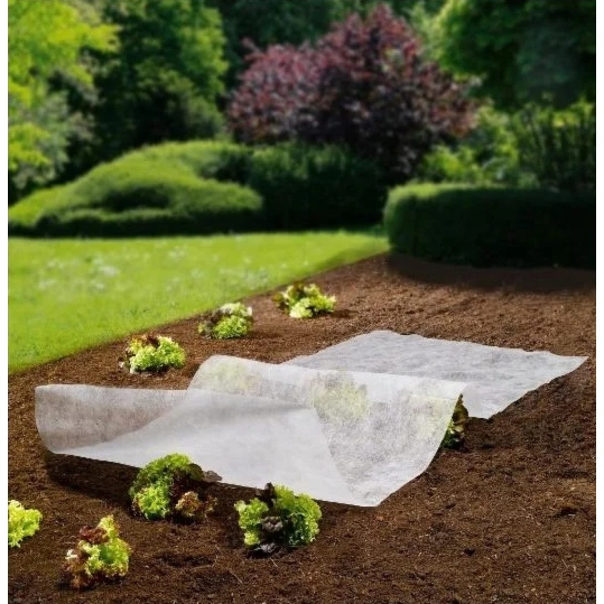 Parkside Telo Protettivo Piante Giardino Bianco 10x1,5m Anti Gelo e Uccelli - immagine 3