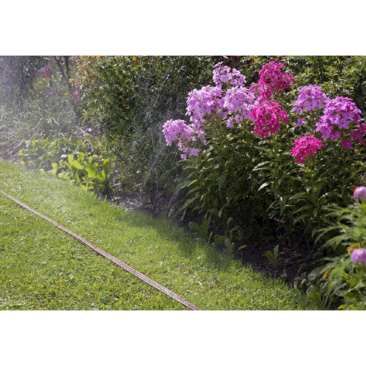 Parkside Tubo Irrigazione a Pioggia 3 Canali Nebulizzatore Orto Marrone 20 metri - immagine 4