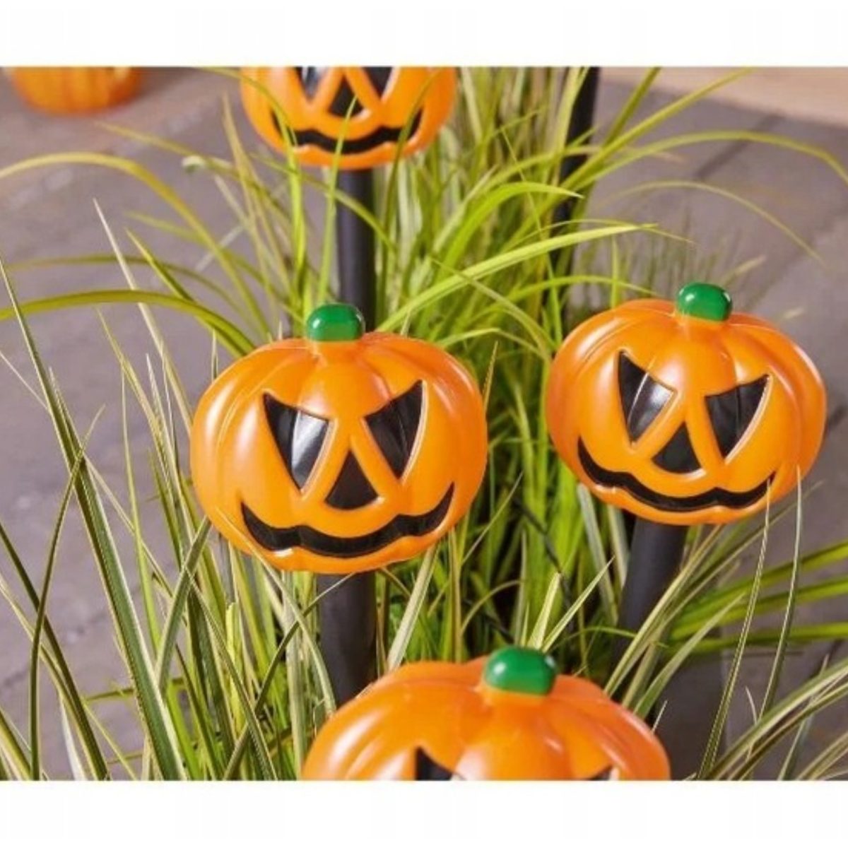 Livarno luci da giardino LED Halloween zucca IP44 timer 6h batteria esterno - immagine 2