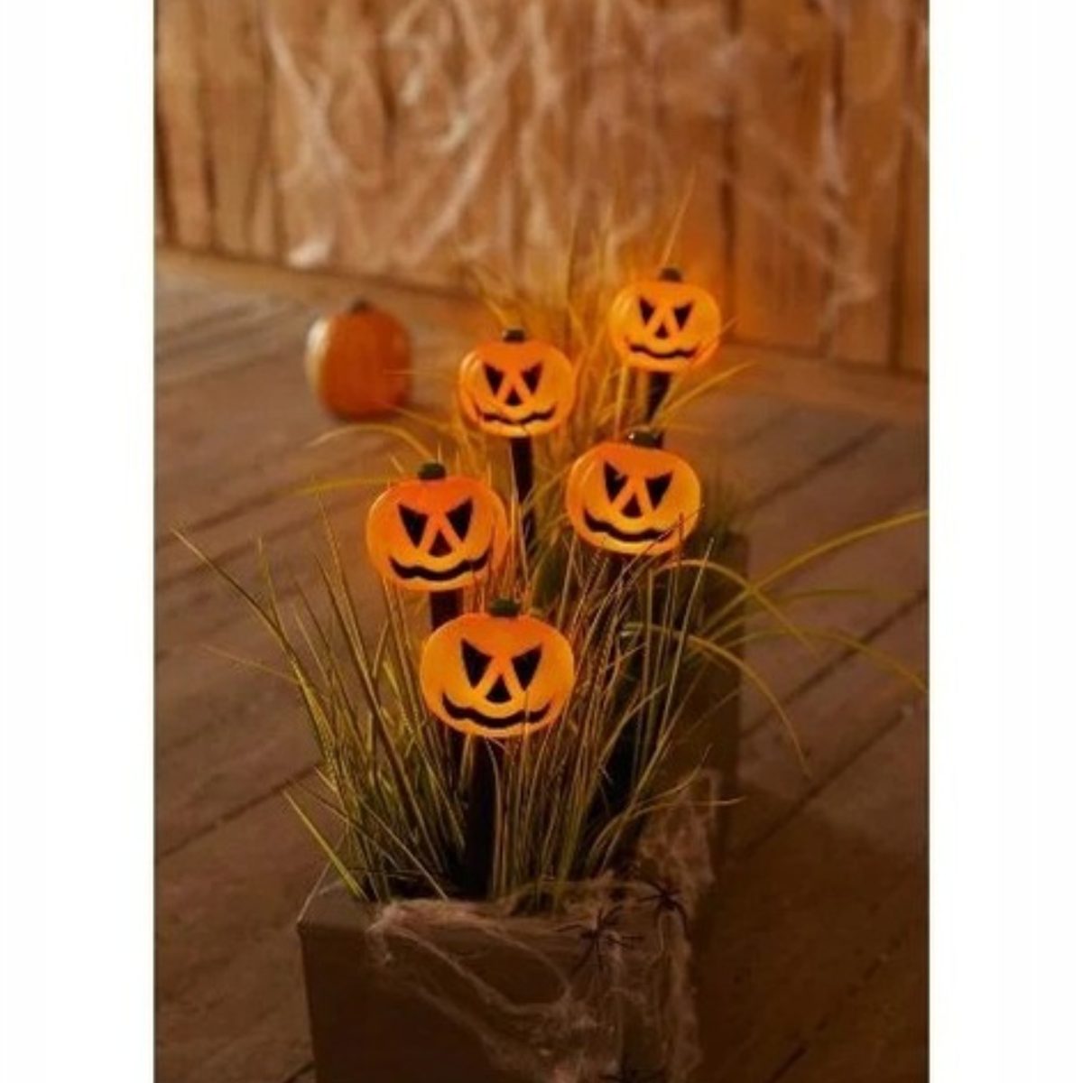 Livarno luci da giardino LED Halloween zucca IP44 timer 6h batteria esterno - immagine 3